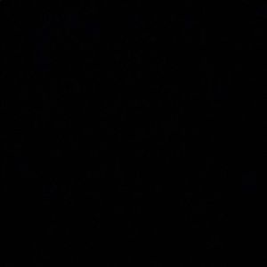 Meet your Posher, Layla